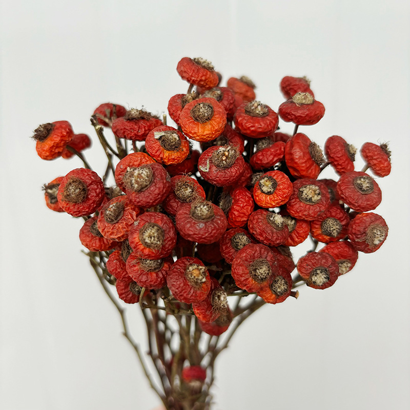 10pcs/Bunch Dried Rose Hip Ber - огляд і ціна Dried Flower Bouquet
