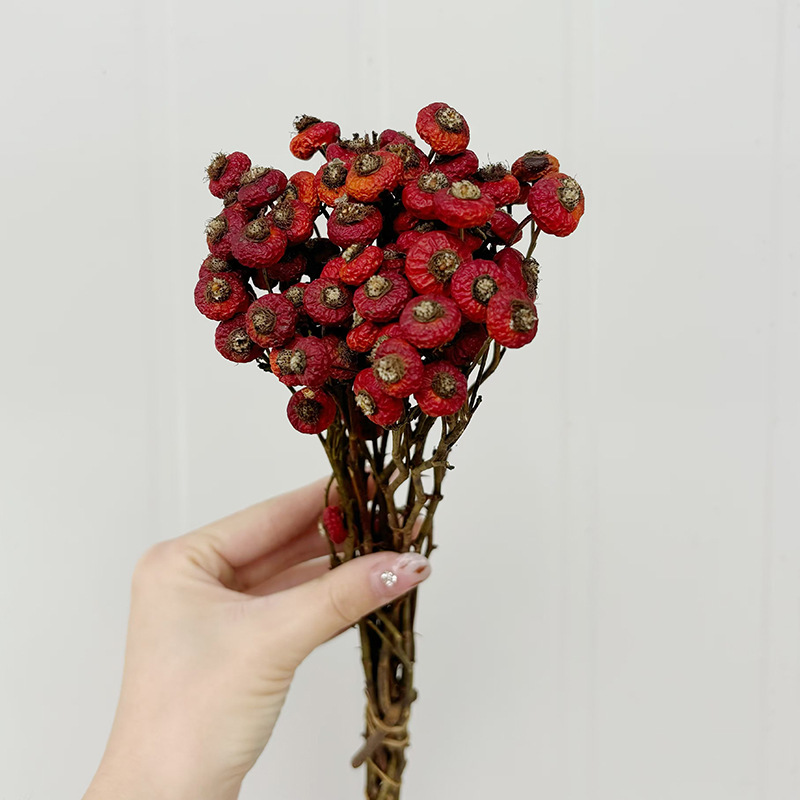 10pcs/Bunch Dried Rose Hip Ber - огляд і ціна Dried Flower Bouquet