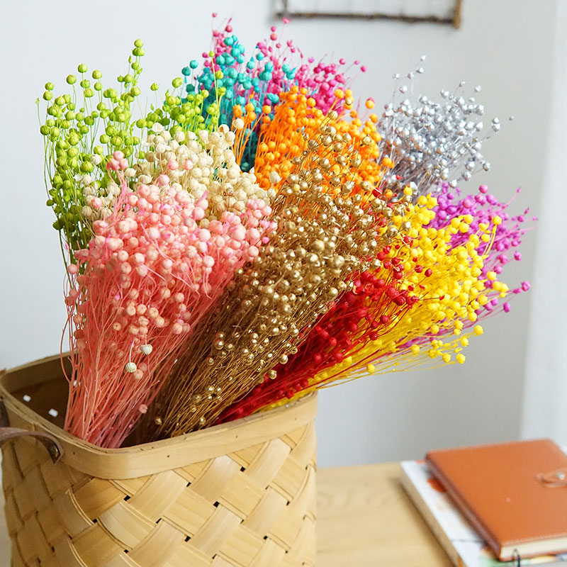35g/Preserved Ormosia Hosiei N - огляд і ціна Dried Flower Bouquet