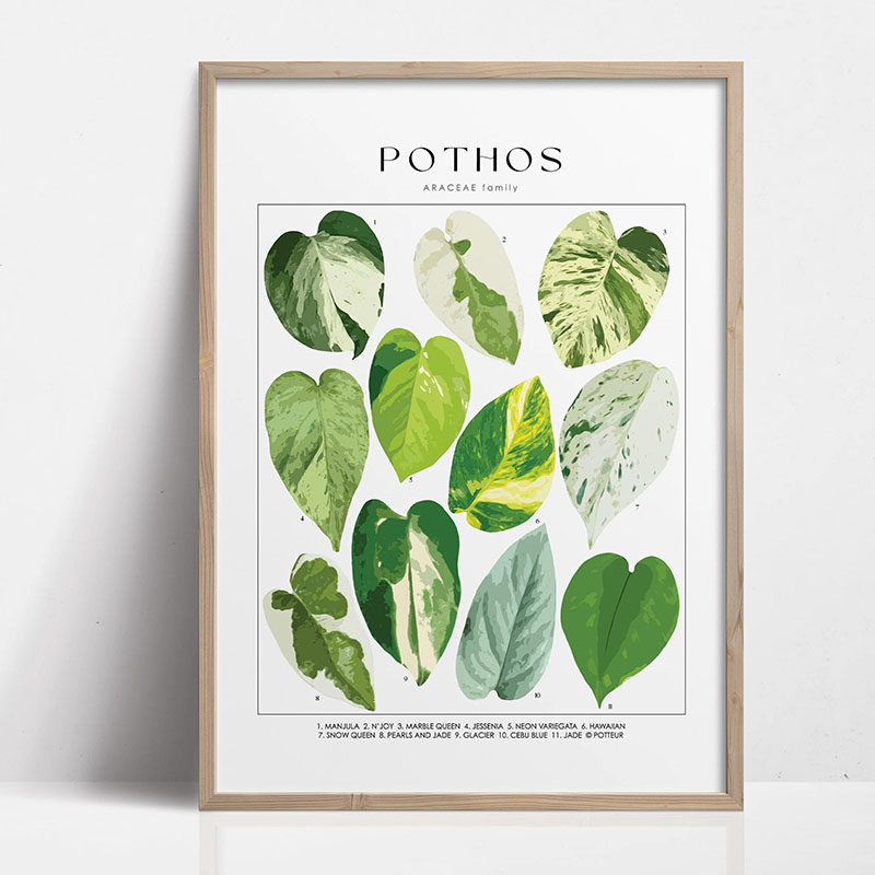 1pc Modern Houseplants Leaves  - огляд і ціна Home Decor Design Interior