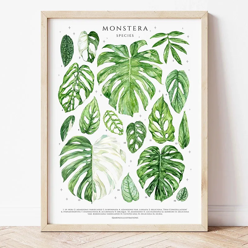 1pc Modern Houseplants Leaves  - огляд і ціна Home Decor Design Interior