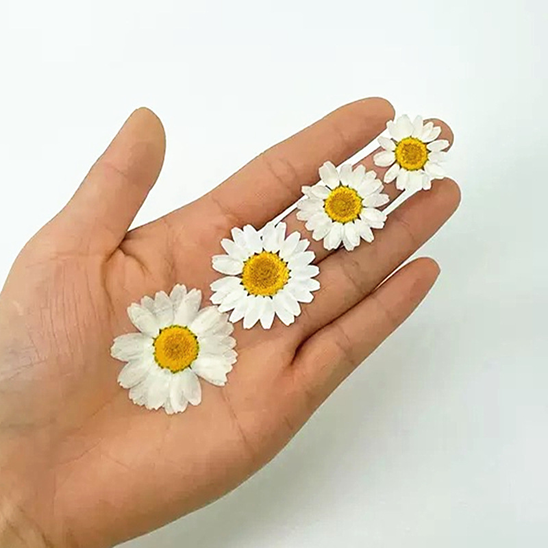 100Pcs Natural White Crystal C - огляд і ціна Dried Flower Bouquet