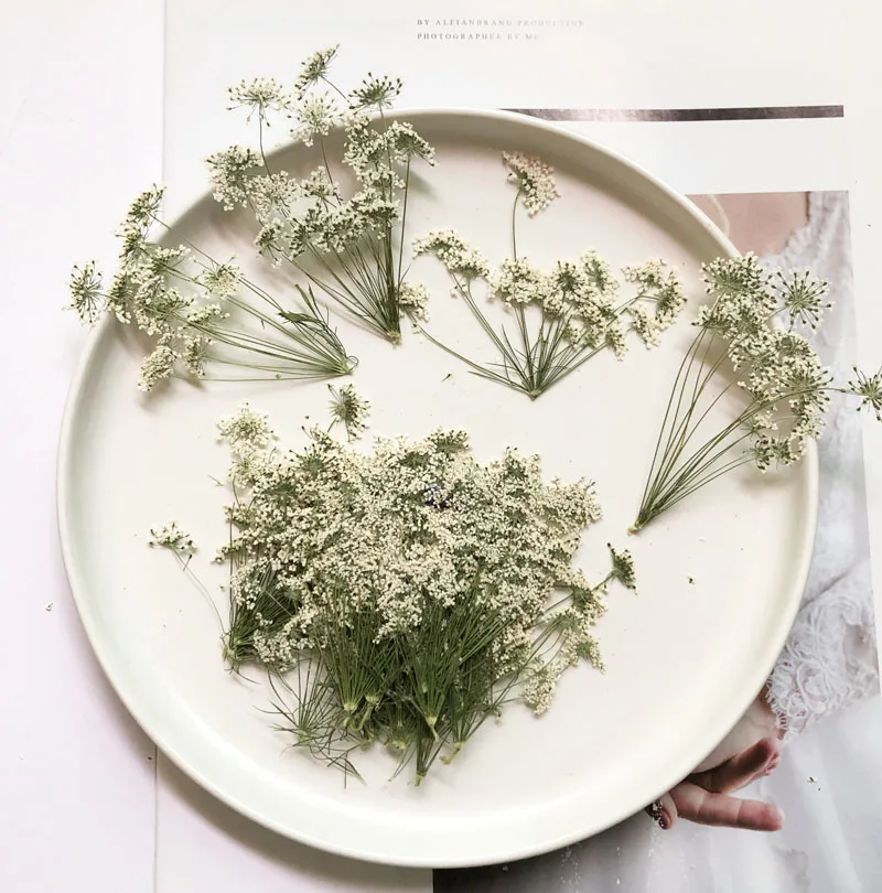 5-7cm/12pcs,Snow Tiny Flowers  - огляд і ціна Dried Flower Bouquet